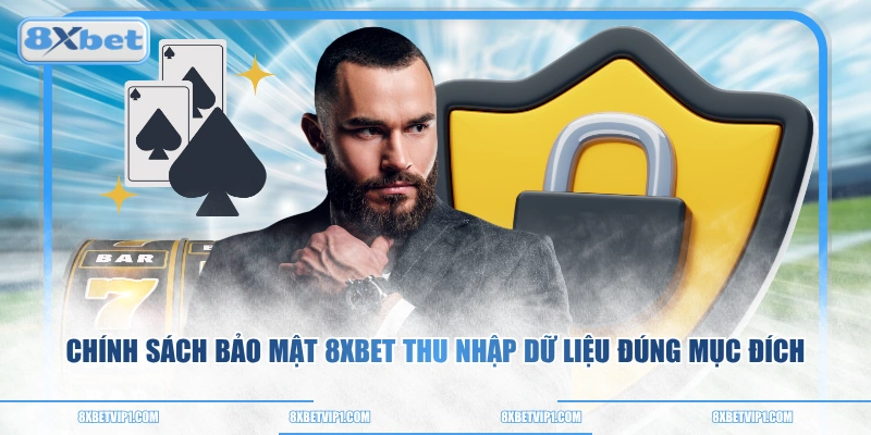 Chính sách bảo mật 8XBET thu nhập dữ liệu đúng mục đích