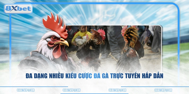 Đa dạng nhiều kiểu cược đá gà trực tuyến hấp dẫn