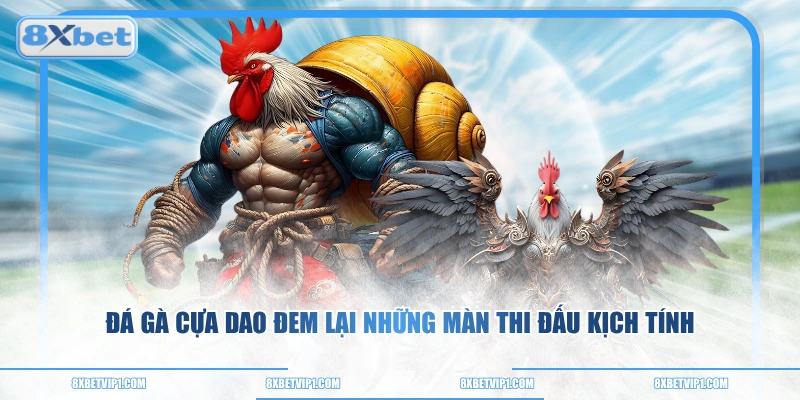 Đá gà cựa dao đem lại những màn thi đấu kịch tính
