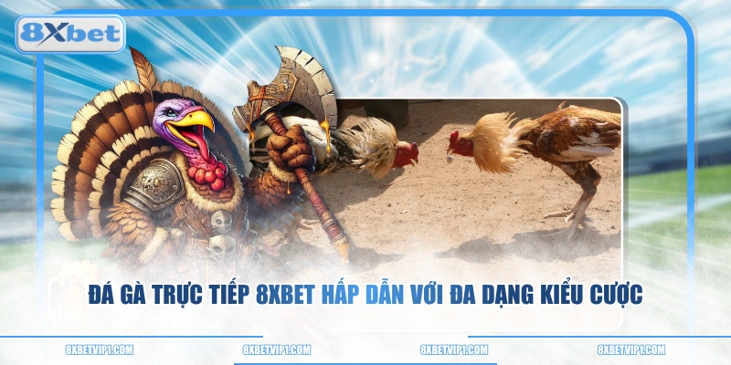 Đá Gà Trực Tiếp 8XBET Hấp Dẫn Với Đa Dạng Kiểu Cược