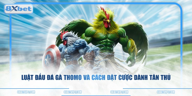 Luật Đấu Đá Gà Thomo Và Cách Đặt Cược Dành Tân Thủ