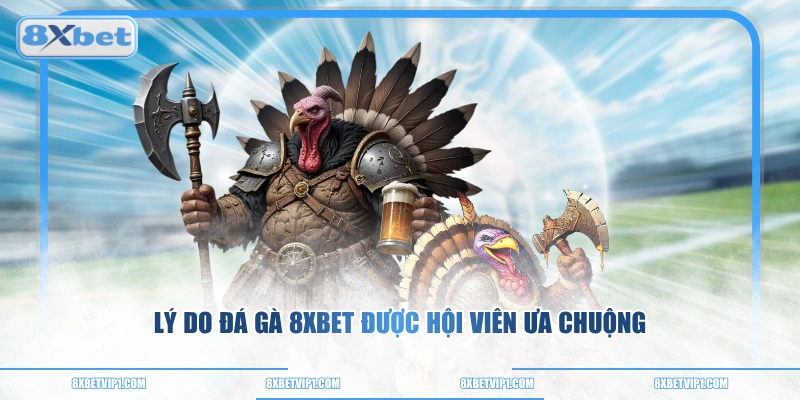 Lý do đá gà 8XBET được hội viên ưa chuộng
