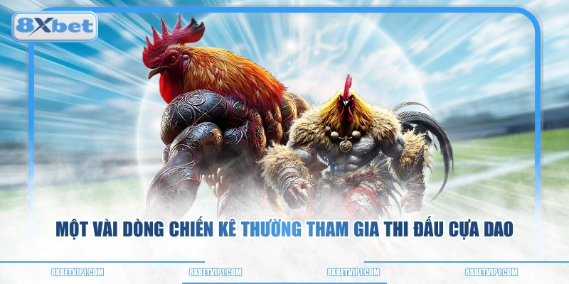 Một vài dòng chiến kê thường tham gia thi đấu cựa dao
