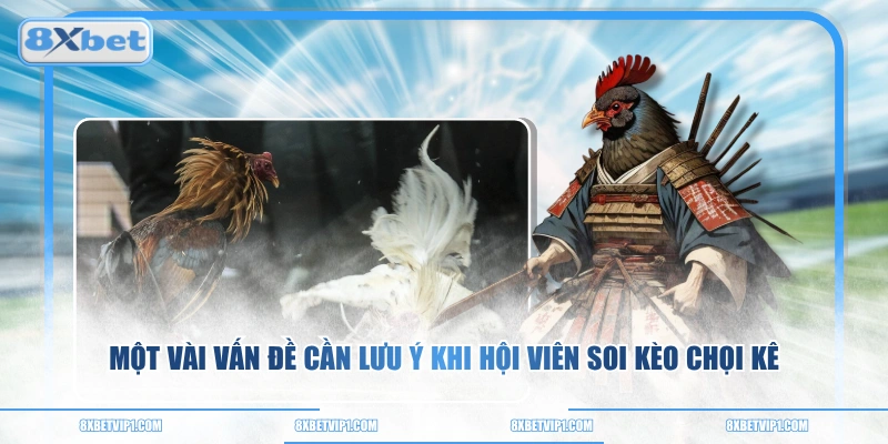 Một vài vấn đề cần lưu ý khi hội viên soi kèo chọi kê