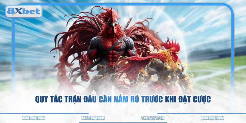 Quy tắc trận đấu cần nắm rõ trước khi đặt cược