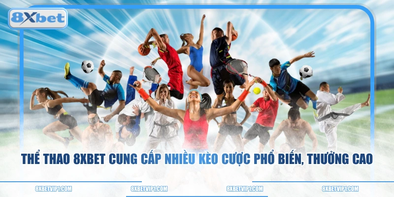 Thể thao 8XBET cung cấp nhiều kèo cược phổ biến, thưởng cao