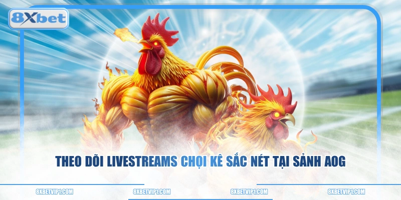 Theo dõi livestreams chọi kê sắc nét tại sảnh AOG