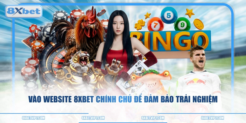 Vào website 8XBET chính chủ để đảm bảo trải nghiệm