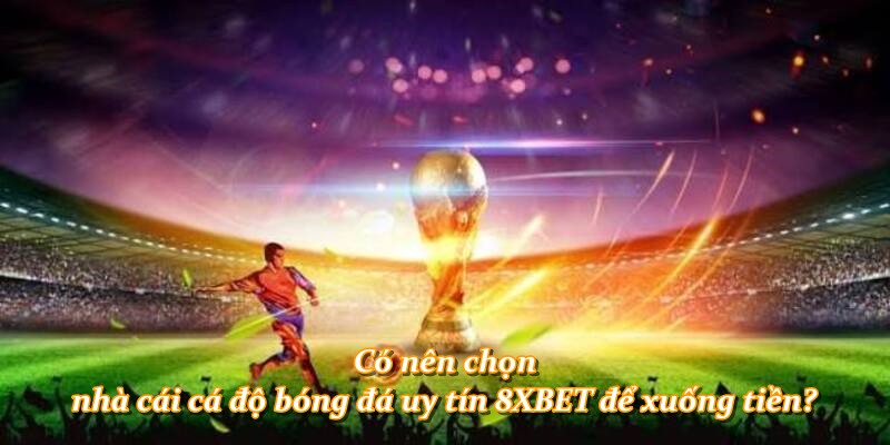 Có nên chọn nhà cái cá độ bóng đá uy tín 8XBET để xuống tiền?