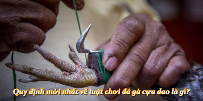 Quy định mới nhất về luật chơi đá gà cựa dao là gì?