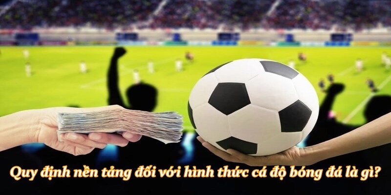 Quy định nền tảng đối với hình thức cá độ bóng đá là gì?