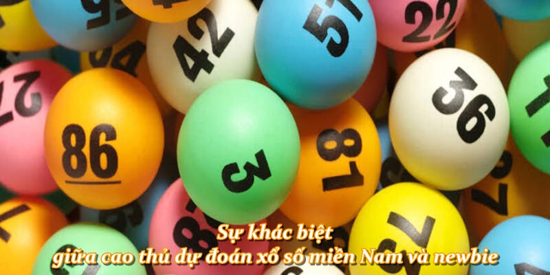 Sự khác biệt giữa cao thủ dự đoán xổ số miền Nam và newbie