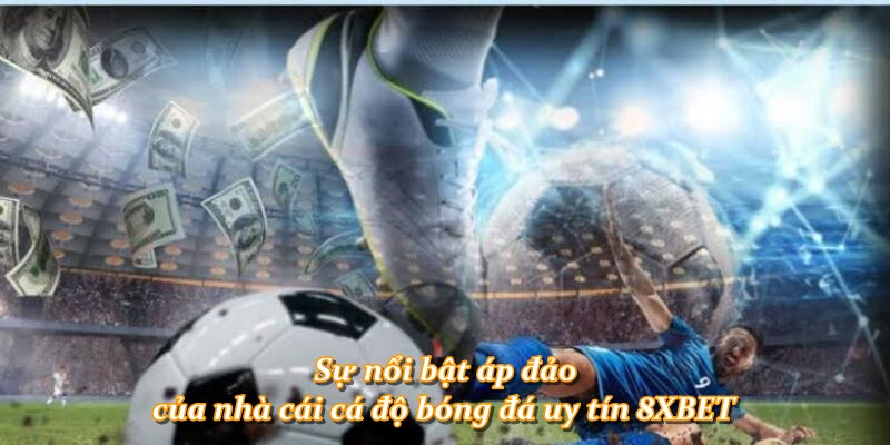 Sự nổi bật áp đảo của nhà cái cá độ bóng đá uy tín 8XBET
