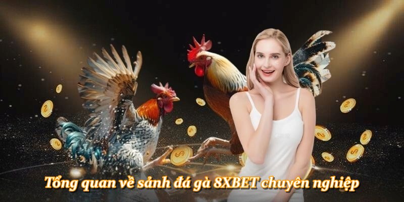 Tổng quan về sảnh đá gà 8XBET chuyên nghiệp